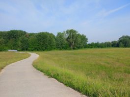 Tip na cyklovýlet: Petržalka – Rajka – Hegyeshalom