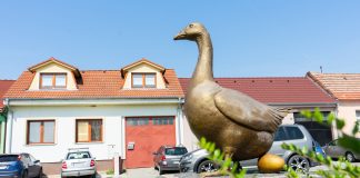Slovenský Grob zdobí socha zlatej husi