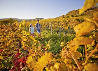 Tip na výlet: Cesta Dr. Jozefa Ľudovíta Holubyho