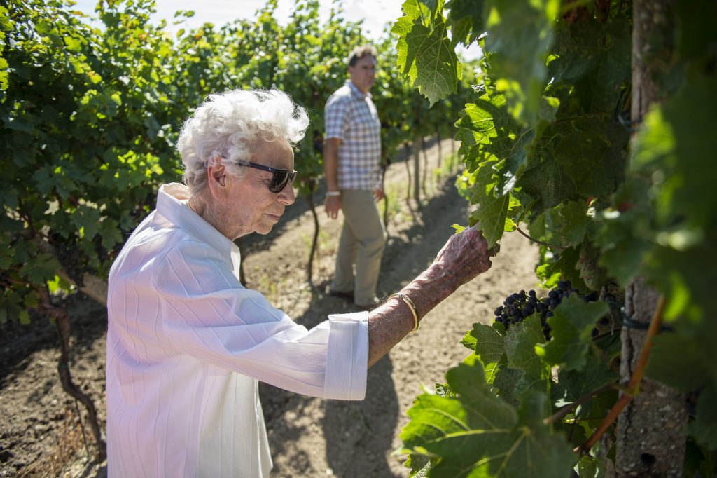 Dorota Pospíšilová v račianskom vinohrade u Lednárovcov, kde kontroluje kvalitu viniča, ktorý sama vyšľachtila.