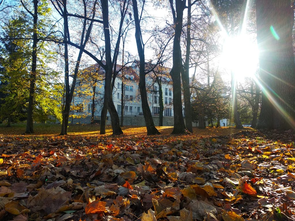 Orsolya Nagyová, Pezinok - Zámocký park