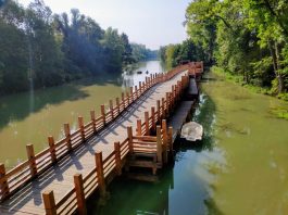 Tip na cyklovýlet: Okolo Korza Zálesie až k Slnečným jazerám