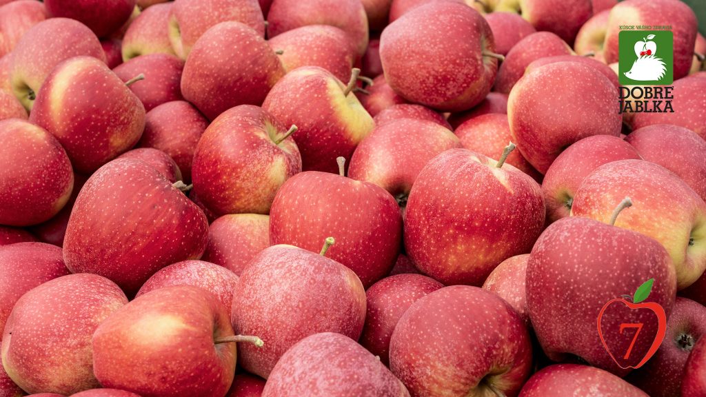V originálnom "jablkovom" eshope kúpite čerstvé, sušené, alebo jablkovú šťava. Foto: Boni Fructi