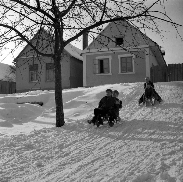 Na archívnej snímke z 22. januára 1955 zimné radosti detí z vinohradníckej obce Hliník (dnešný Limbach) v okrese Pezinok.