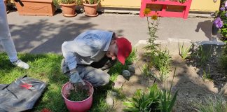 V rozľahlej záhrade nájdete skalku, skleník a bylinkovú záhradku Foto: CSS Javorinská