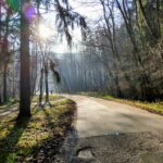 Tip na výlet: Zimné lesy nad Bratislavou