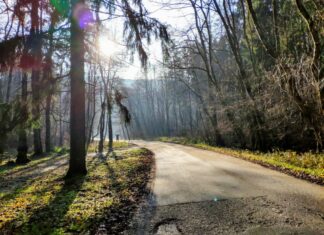Tip na výlet: Zimné lesy nad metropolou Tip na výlet: Zimné lesy nad Bratislavou