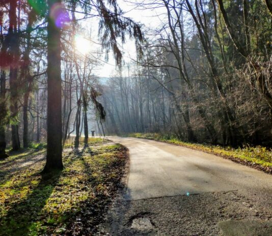 Tip na výlet: Zimné lesy nad metropolou Tip na výlet: Zimné lesy nad Bratislavou