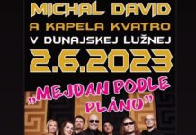 Michal David - Mejdan podle plánu