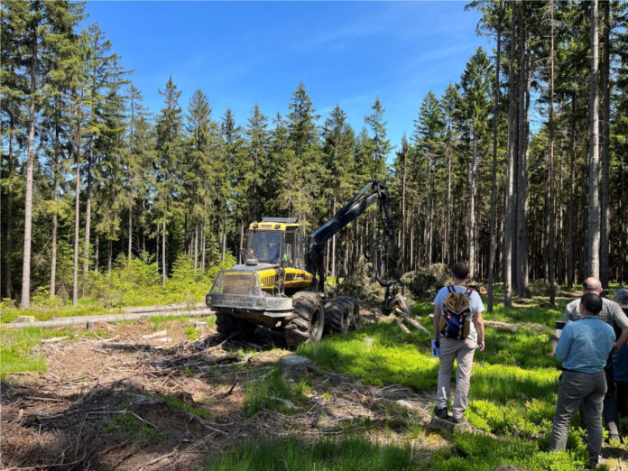 FOREST EUROPE: Aktívny lesnícky prístup pri zvládaní kalamít v lesoch má zmysel