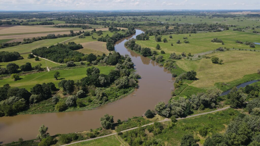 Niva rieky Moravy
