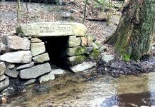 Zničené historické studničky v bratislavských lesoch sa darí zachraňovať