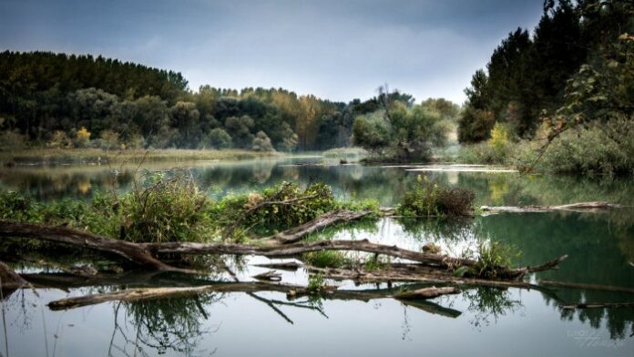 Chránená krajinná oblasť Dunajské luhy je najmladšia z chránených krajinných oblastí na Slovensku