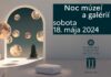 Mnohé kultúrne inštitúcie dnes otvoria svoje brány po celom Slovensku a od súmraku do polnoci sa zapoja do Európskej noci múzeí a galérií