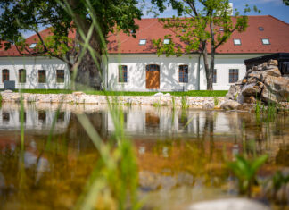 Jarné prázdniny v Ekocentre Čunovo: Príďte so svojimi deťmi objaviť svet, kde sa stierajú hranice medzi hrou a poznaním Ekocentrum Čunovo