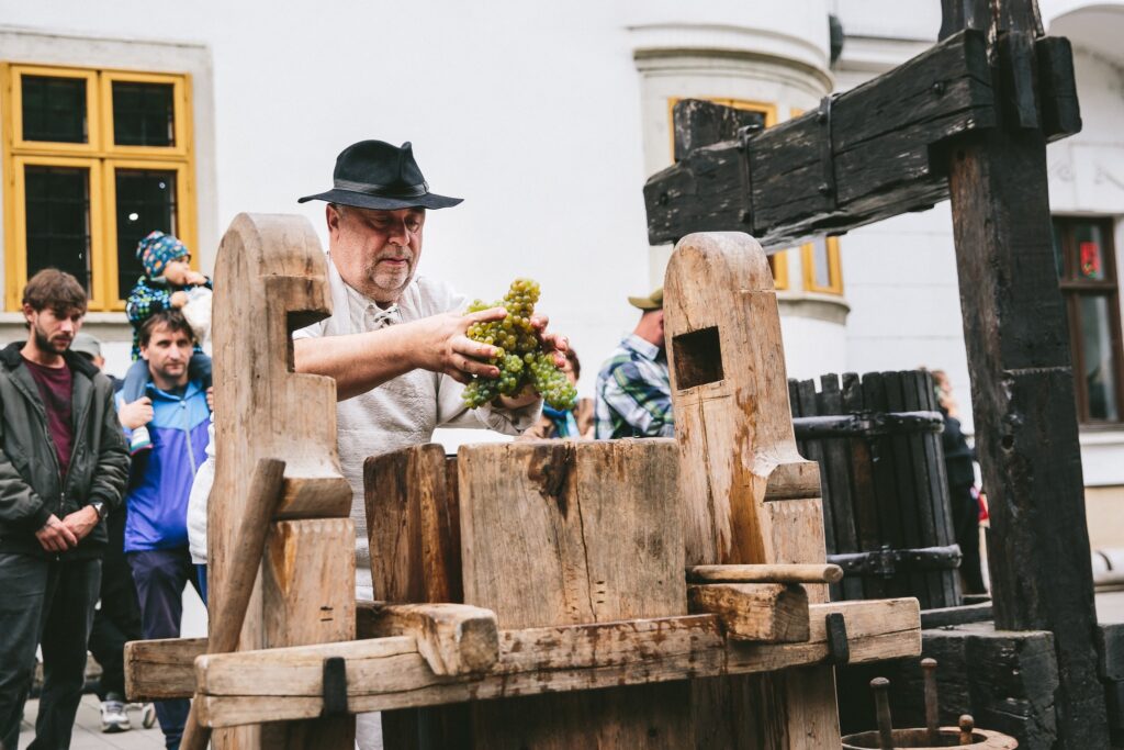 Pezinské vinobranie