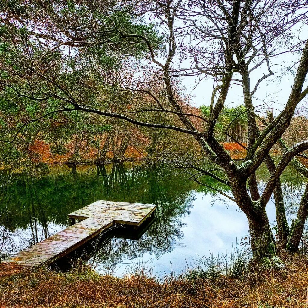 Rybník Tančibok pri Malackách. Foto: Juraj Hrica