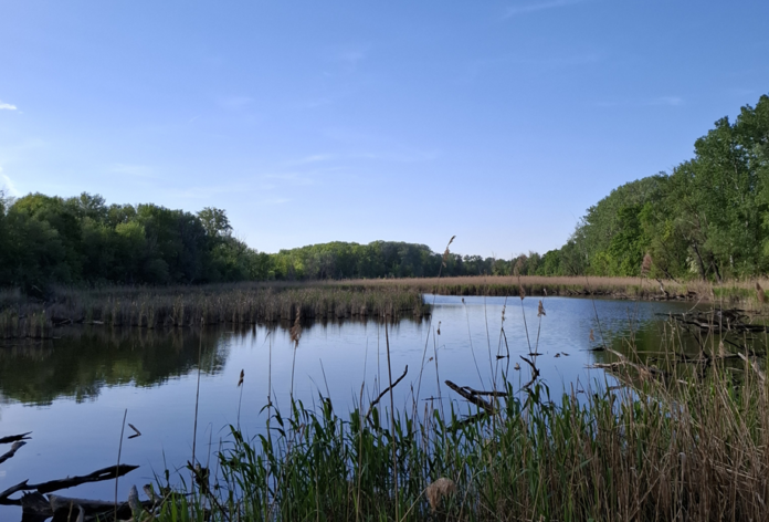 Komentovana-vychadzka