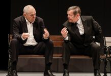 Halpern a Johnson: Strhujúca komédia o priateľstve, láske a jednom dávnom tajomstve