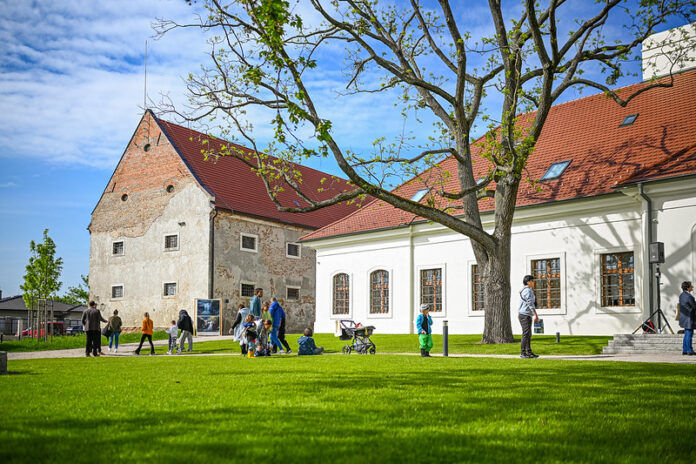 54482146936_290057d77a_c