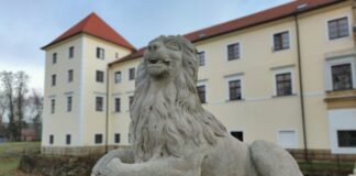 Tip na výlet: Zo Stupavy do Rače