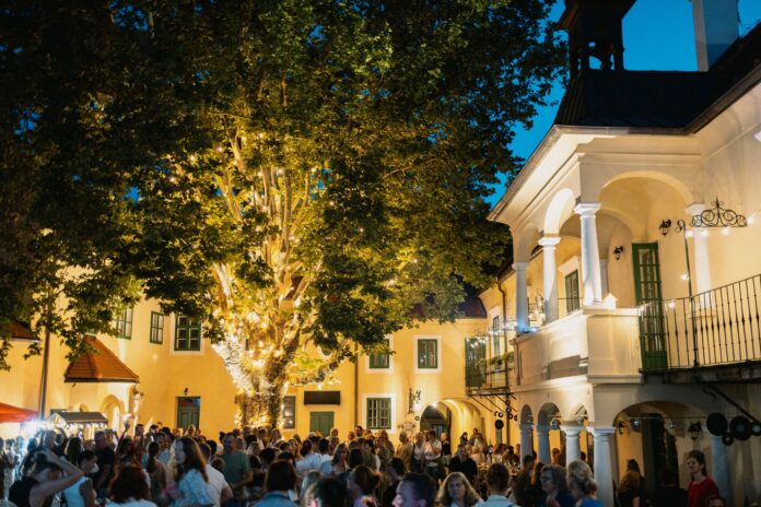 517569893_1178342164326778_3962240622342152851_n