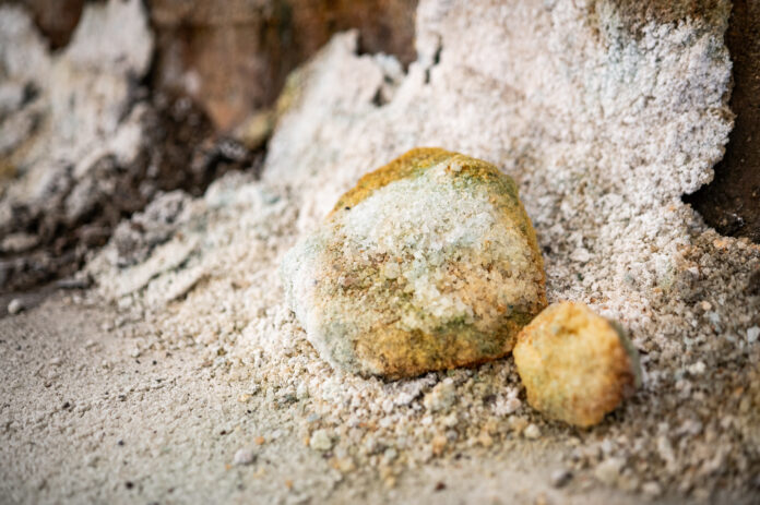 54436597045_f78523c27b_k