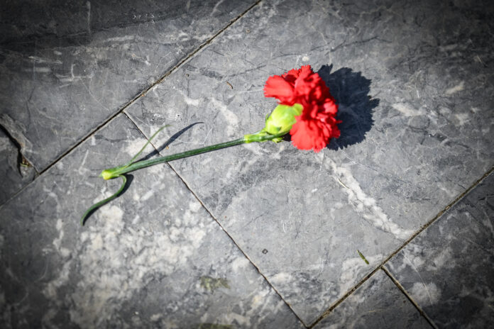 54746216409_d81e449e54_k