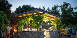 Pozývame vás na nezabudnuteľný výlet do malebného Svätého Jura, kde sa spojí láska k vínu, prírode a dobrému jedlu