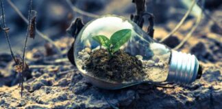 Bratislavský kraj má svoj plán na digitálnu transformáciu. Cieľom sú efektívnejšie služby, kvalitnejší život a SMART región budúcnosti