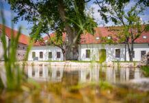 Prespávačka v Ekocentre Čunovo: nočné dobrodružstvo spojené s prírodou a učením