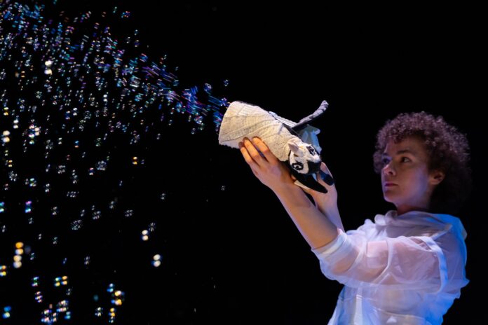 Bratislavské bábkové divadlo