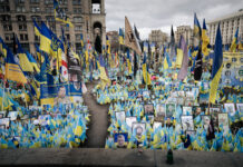 Fotografi z Bratislavského kraja opäť medzi najlepšími na celoštátnom AMFO 2025