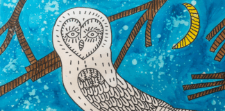 Biela sova na modrom pozadí