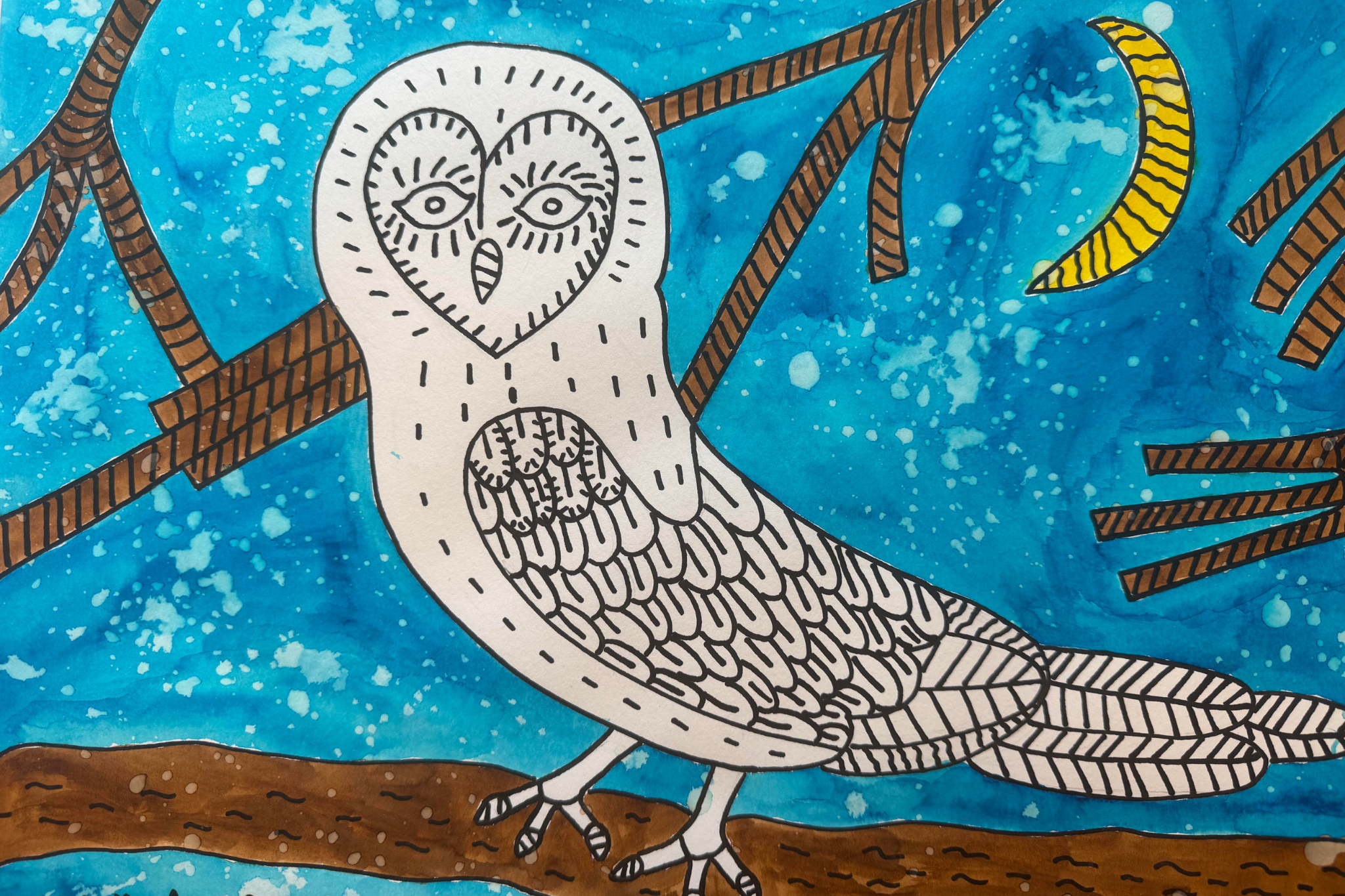 Biela sova na modrom pozadí