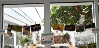 Fotografická súťaž v CSS Javorinská ukázala krásu zvieracej ríše očami prijímateľov aj zamestnancov