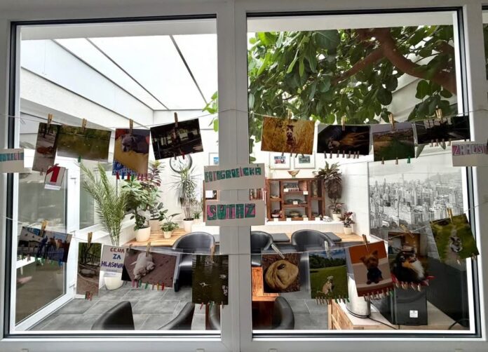 Fotografická súťaž v CSS Javorinská ukázala krásu zvieracej ríše očami prijímateľov aj zamestnancov Fotografická súťaž v CSS Javorinská ukázala krásu zvieracej ríše očami prijímateľov aj zamestnancov