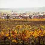 Tento týždeň v Kaštieli Modra – umenie, víno a fantázia