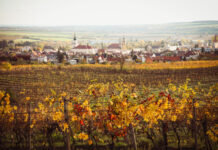 Tento týždeň v Kaštieli Modra – umenie, víno a fantázia