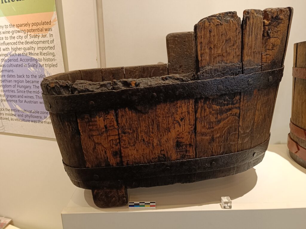 Dejiny mesta Svätý Jur