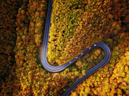 Najkrajšia v Bratislavskom kraji. Cesta cez Pezinskú babu má už vyše 150 rokov Malé Karpaty Pezinská Baba