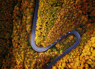 Najkrajšia v Bratislavskom kraji. Cesta cez Pezinskú babu má už vyše 150 rokov Malé Karpaty Pezinská Baba