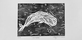 Biela veľryba na čiernom pozadí