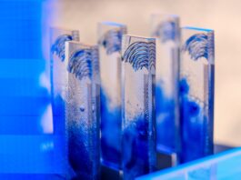 Bratislavský samosprávny kraj získal v hodnotení verejných obstarávateľov druhé miesto ilustračné foto: Oceneneie Transparex, a.s.