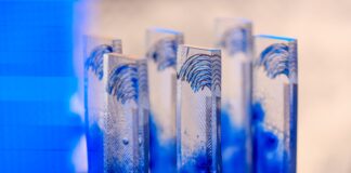 ilustračné foto: Oceneneie Transparex, a.s.