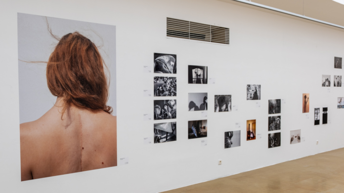 AMFO_web Výstava fotografií na na bielej stene