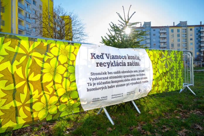 Ekologický zber vianočných stromčekov v Senci