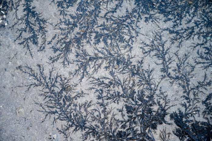 Pozor na nebezpečný čierny ľad! Odborníci upozorňujú vodičov v Bratislavskom kraji