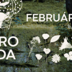 PríroDada vo februári – Na návšteve v luhoch a mokradiach