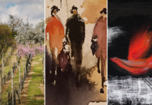 Vinohrady, otvorený ateliér, Austro vin výstava